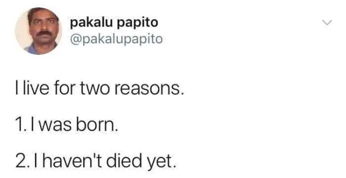 Xavier Memes – 35 Funniest Tweets & Comments Made By Xavier